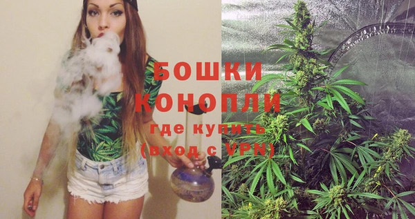 мдпв Ладушкин