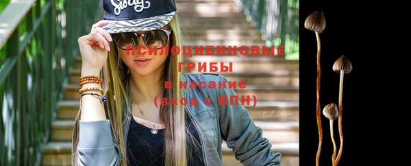 кокс Аркадак
