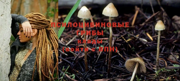 кокс Аркадак