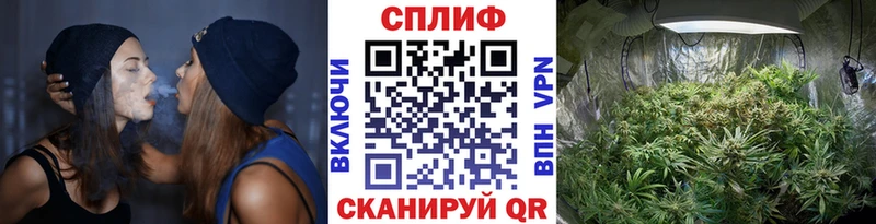 Каннабис THC 21%  Артёмовский 